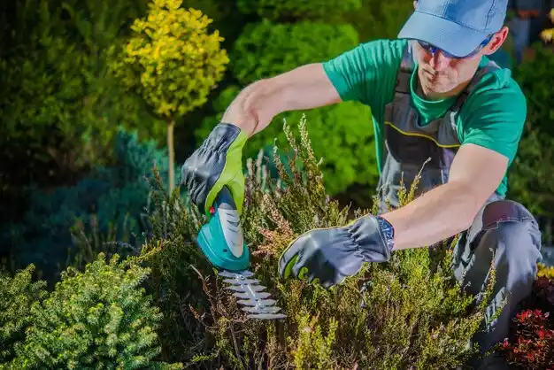 landscaping services Affton